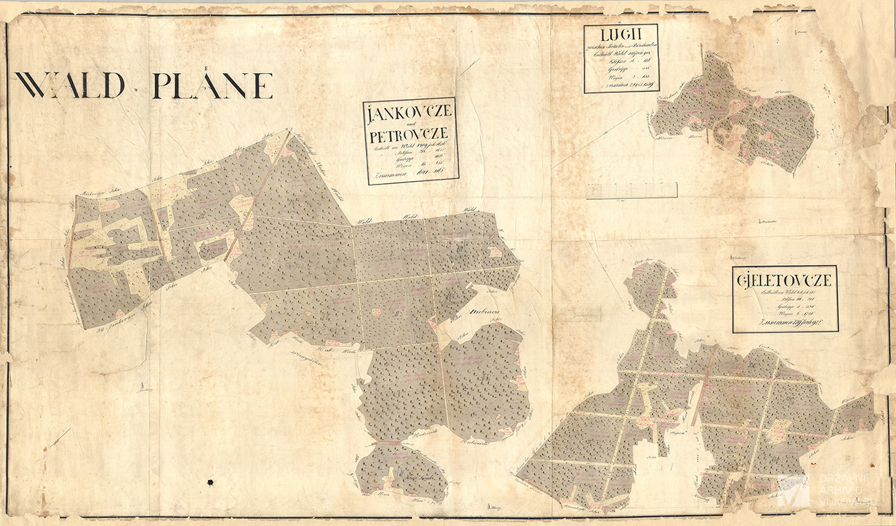 WALD PLÄNE JANKOVCZE UND PETROVCZE,GYELETOVCZE UND LUGH