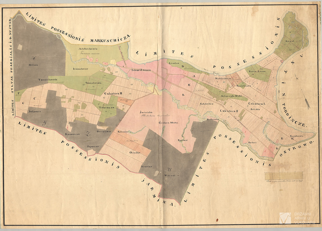 Bez naslova - HR-DAVU-561, 9/1