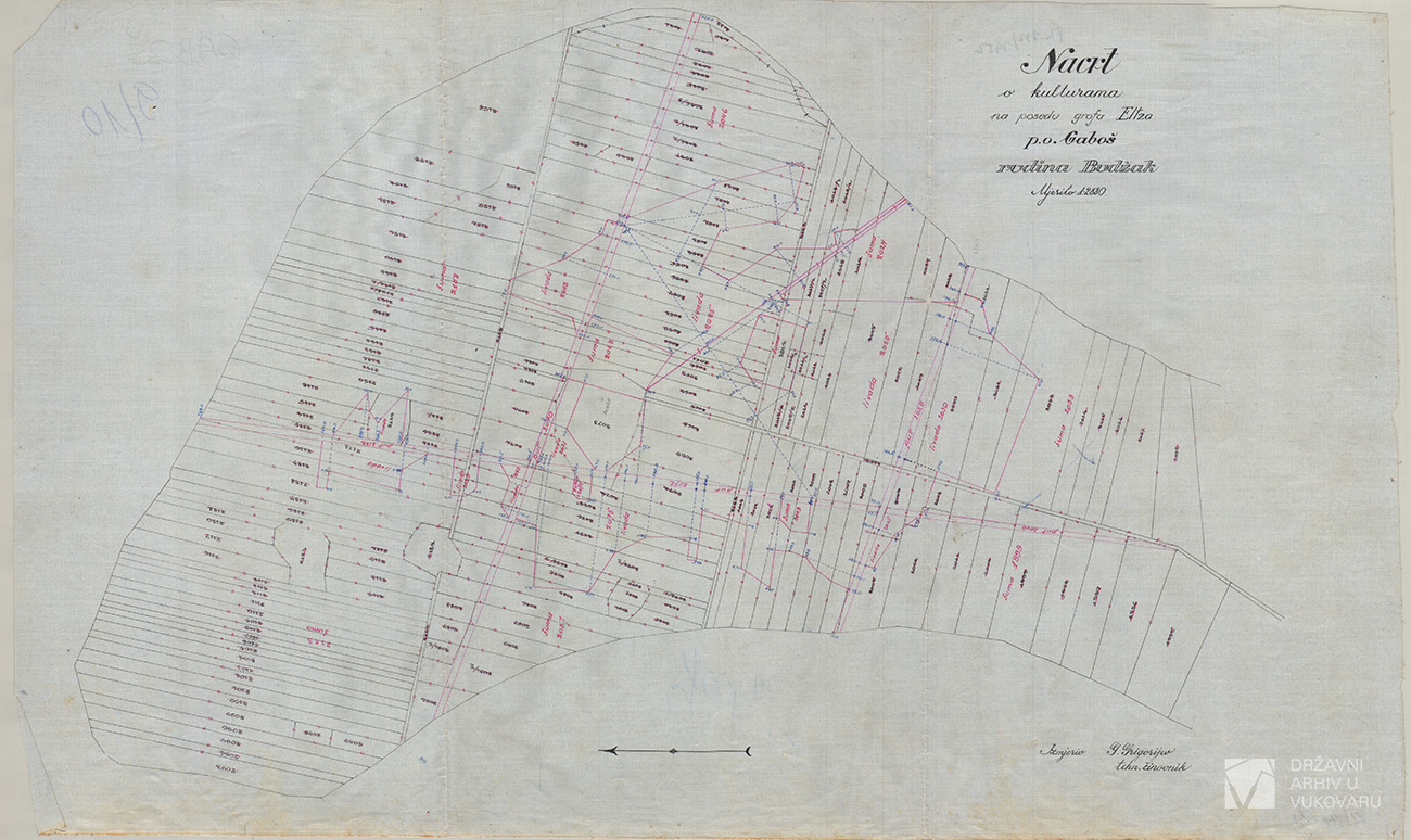 NACRT O KULTURAMA NA POSJEDU GROFA ELTZA  P.O. GABOŠ RUDINA BUDŽAK