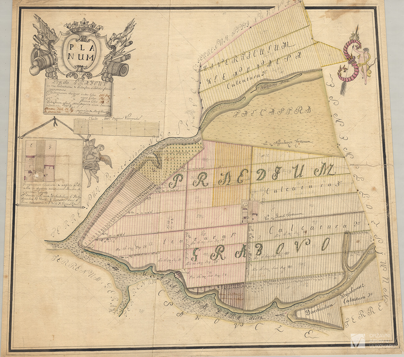 PLANUM PRADII GRABOWO IN TRES CALCATURAS, FALCASTRA SUBDIVISI FACIE REPRESENTANS
