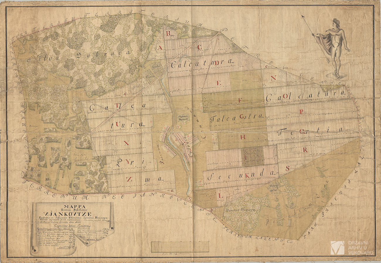 MAPPA TERRENI POSSESSIONIS V.JANKOVTZE EXISTENTIS IN SCHLAVONIA ITO COMITATUI  SYRMIENSI DOMINIOQUE VUKOVAR INGREMIATAE FACIEM REPRAESENTANS.