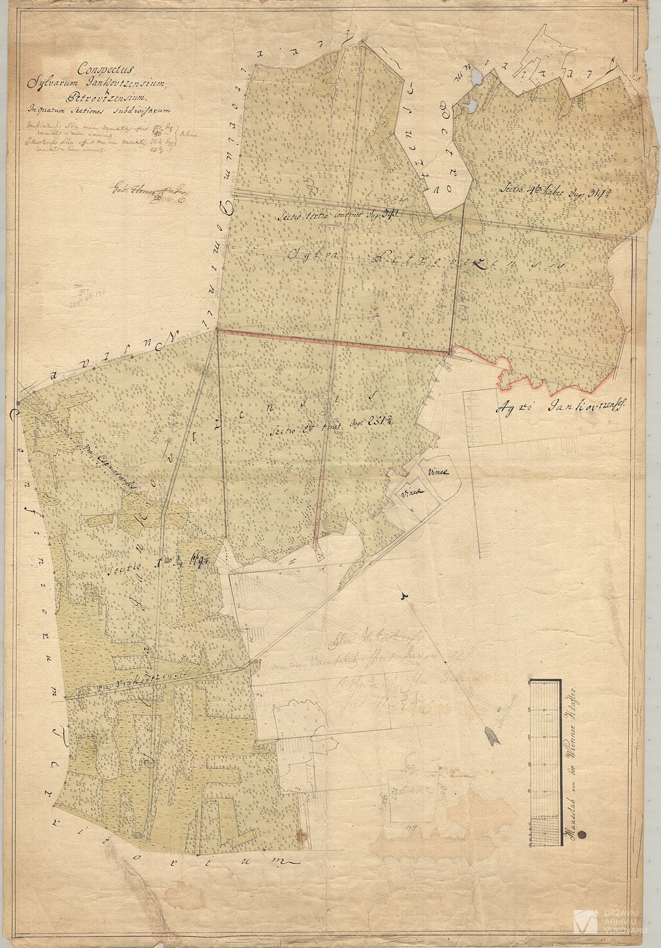 CONSPECTUS SYLVARUM JANKOVTZENSIUM & PETROVTZENSIUM