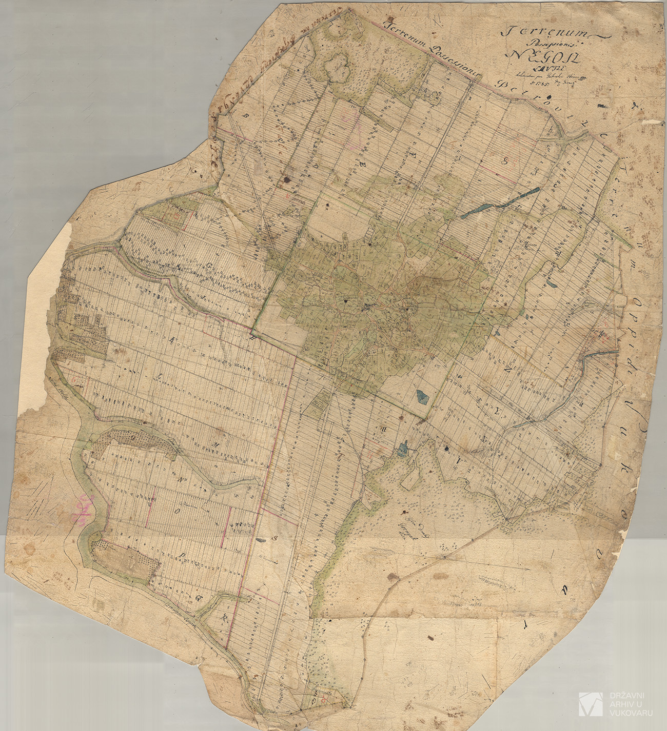 TERRENUM POSSESSIONIS NEGOSLAVTZE